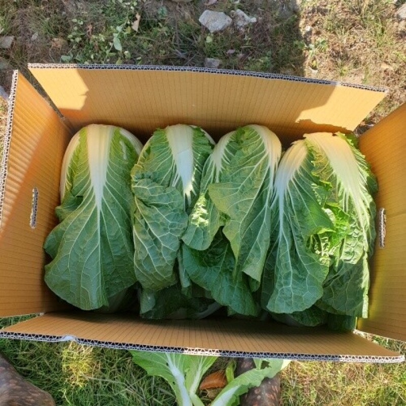 세척들깨, 서리태, 노랭이배추, 콩, 잎플로, 잎플로 서각마을, 들깨, 배추, 고랭지, 검은콩, 서각마을, 국내산, 김장배추, 김장,콩국수, 참기름, 들기름, 친환경