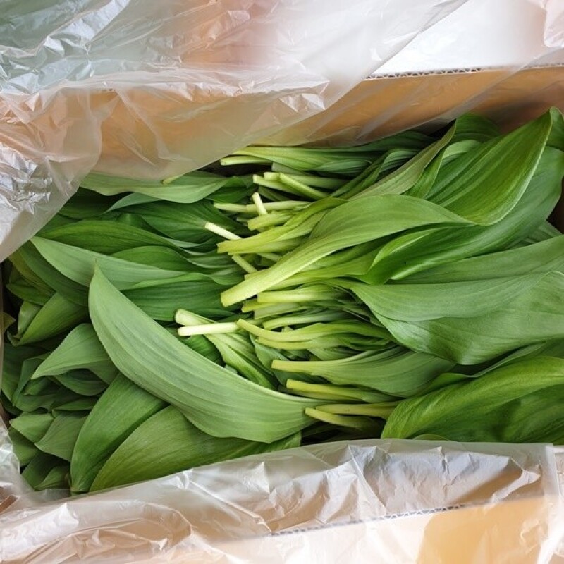 세척들깨, 서리태, 노랭이배추, 콩, 잎플로, 잎플로 서각마을, 들깨, 배추, 고랭지, 검은콩, 서각마을, 국내산, 김장배추, 김장,콩국수, 참기름, 들기름, 친환경