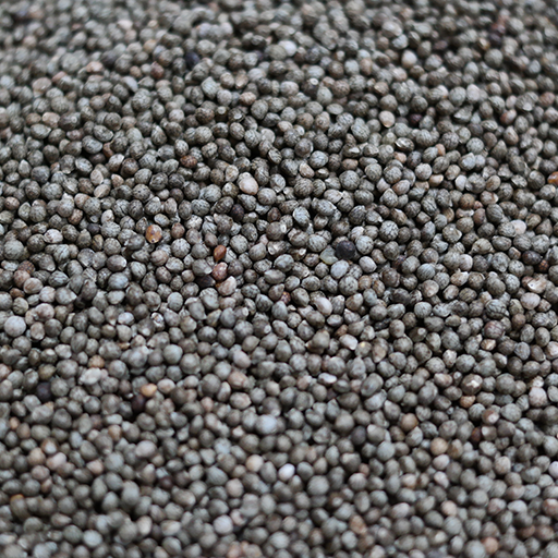 고소한 세척 들깨